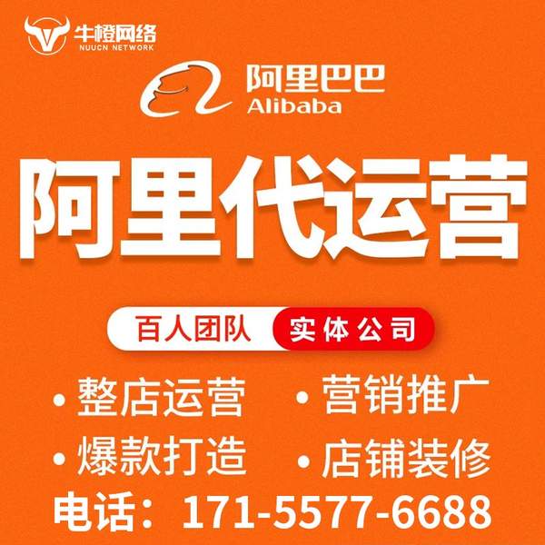 兴化电商代运营