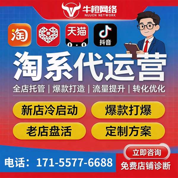 兴化电商代运营