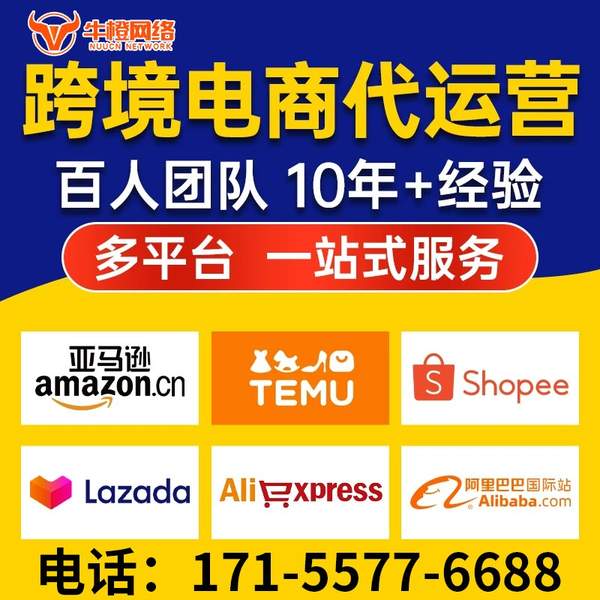 兴化电商代运营