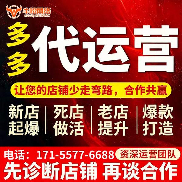 兴化电商代运营