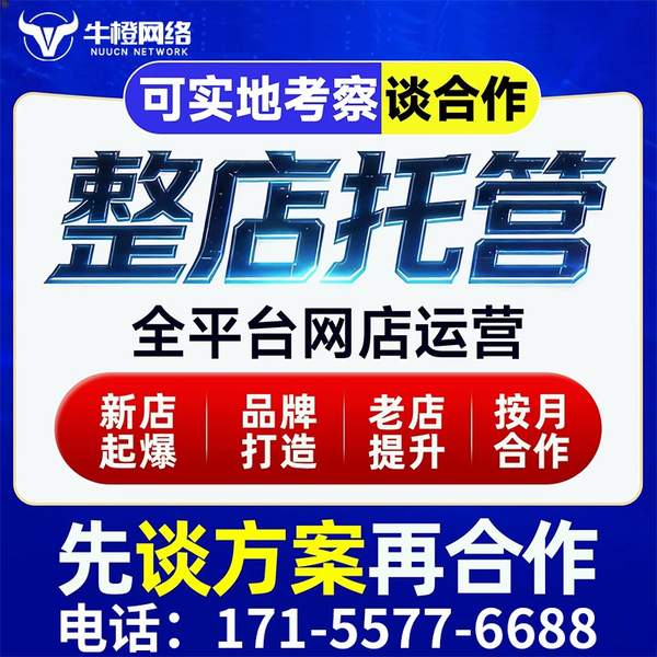 兴化电商代运营