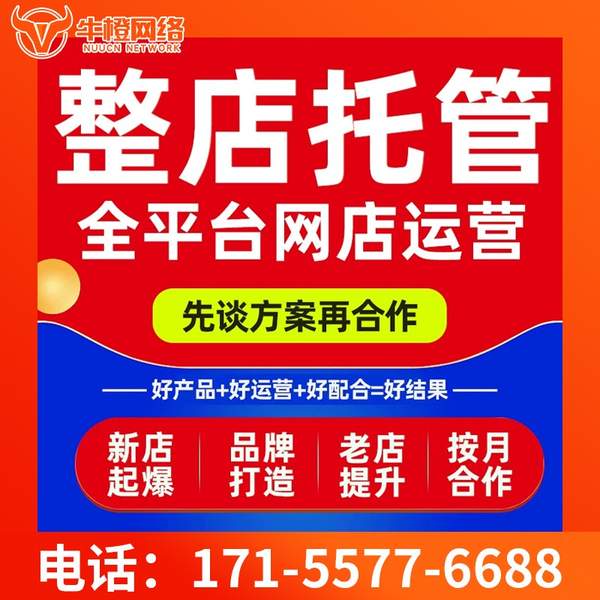 兴化电商代运营
