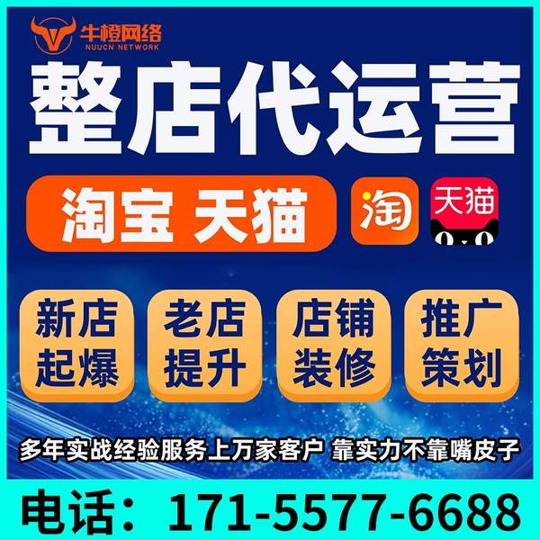 兴化电商代运营