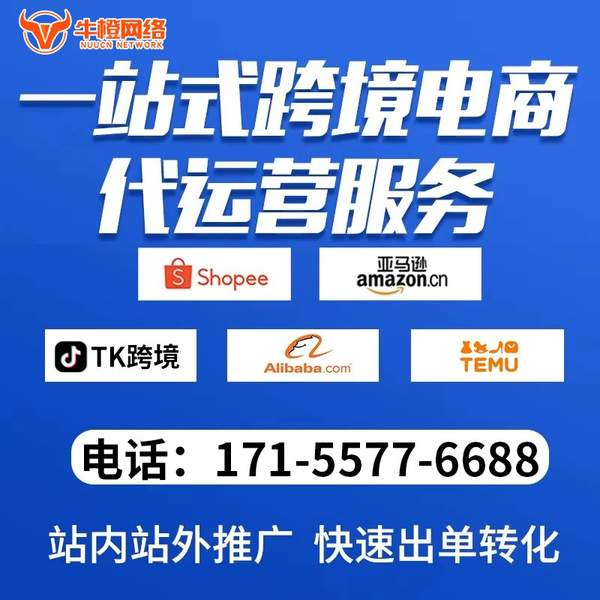 兴化电商代运营