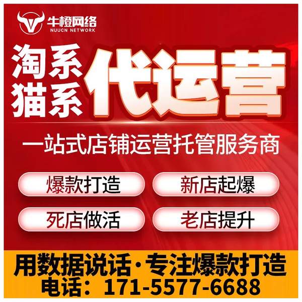 兴化电商代运营